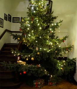 2015 Weihnachtsbaum